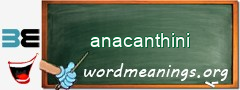 WordMeaning blackboard for anacanthini